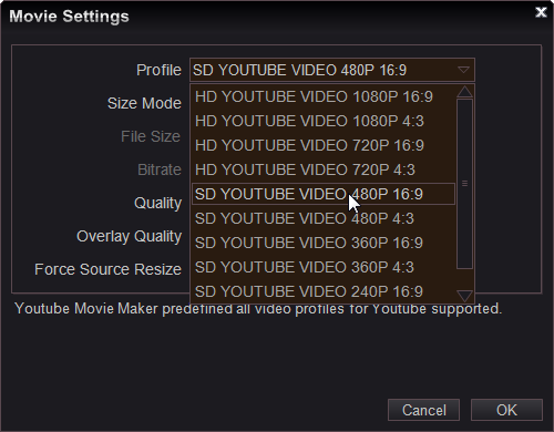 video settings detail