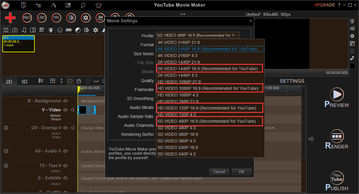 export youtube video format