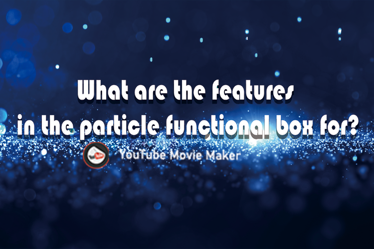 What Are the Features in the Particle Functional Box for?