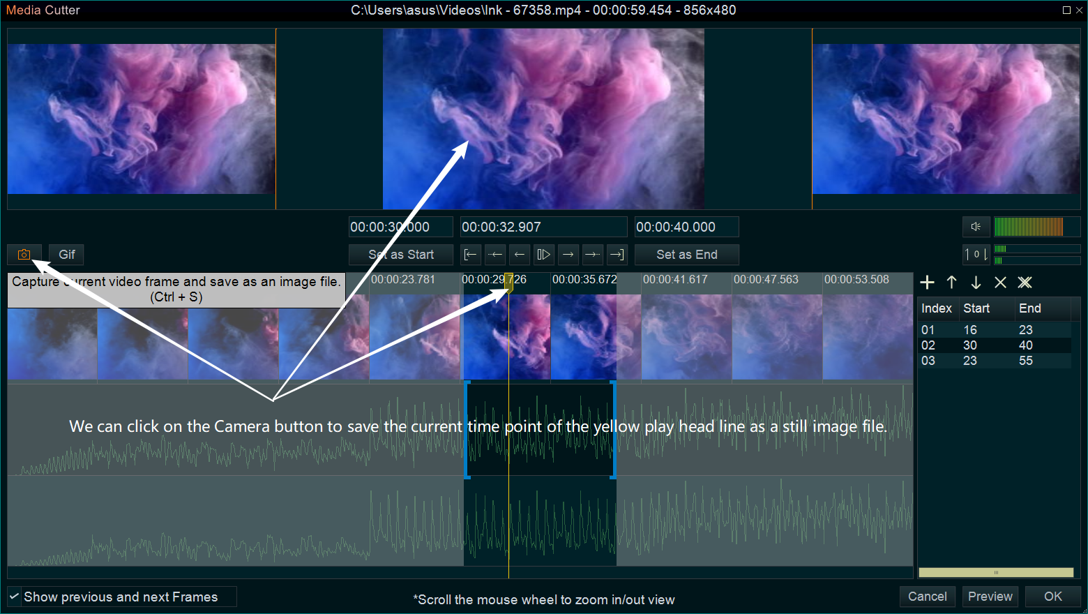 capture video frame as image file